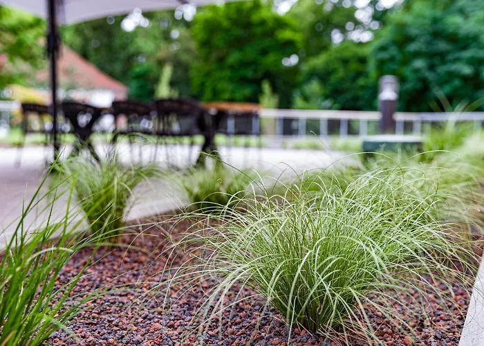 Elb Boardinghouse Restaurant